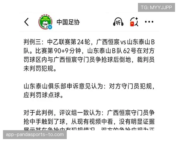 比赛申诉流程与裁判判罚证据要求