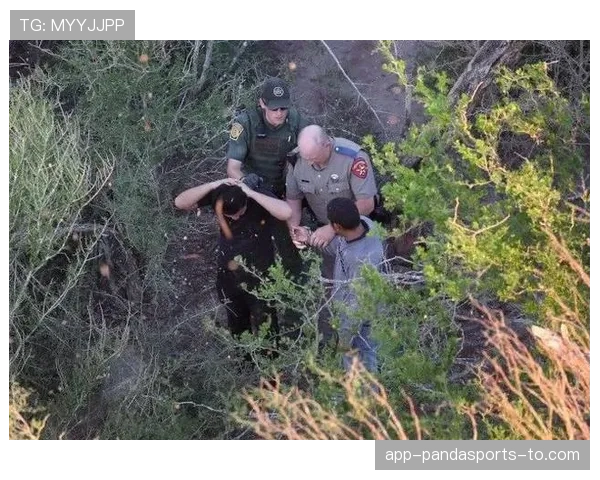 官员罚离场规则是怎样？边界情况全解析