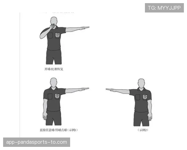 比赛暂停由裁判决定的情形与恢复比赛的判定标准