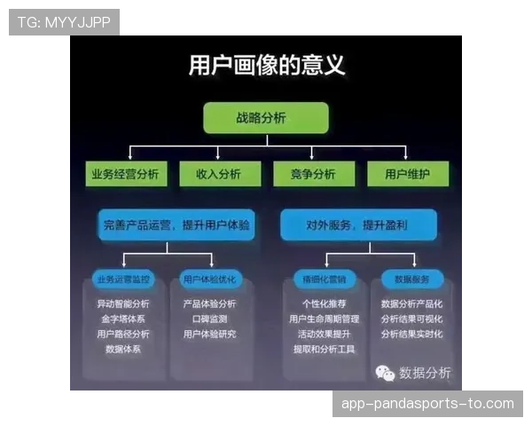 恶意犯规的规则定义与判定标准全面解析